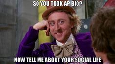 AP - Social Life? 